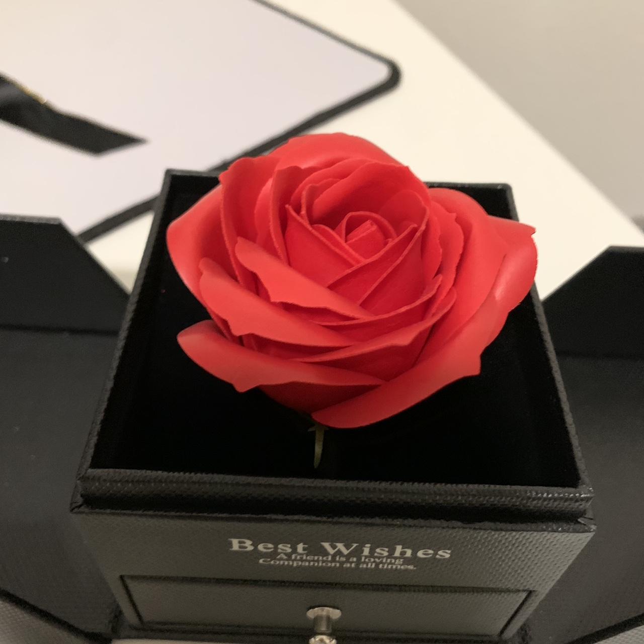 Eterna Red and Black Collectibles (3)