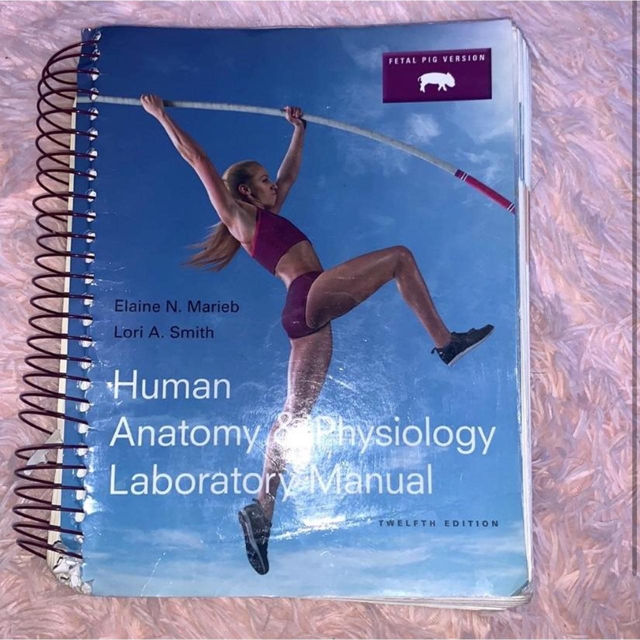 Humanor not? visual data 2