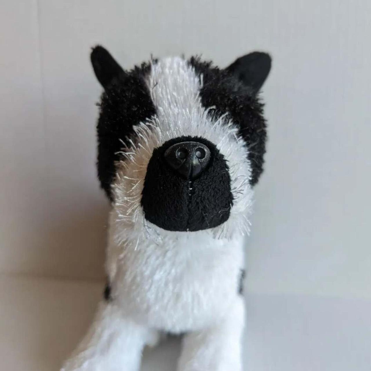 Webkinz Boston Terrier. No Code. About 9