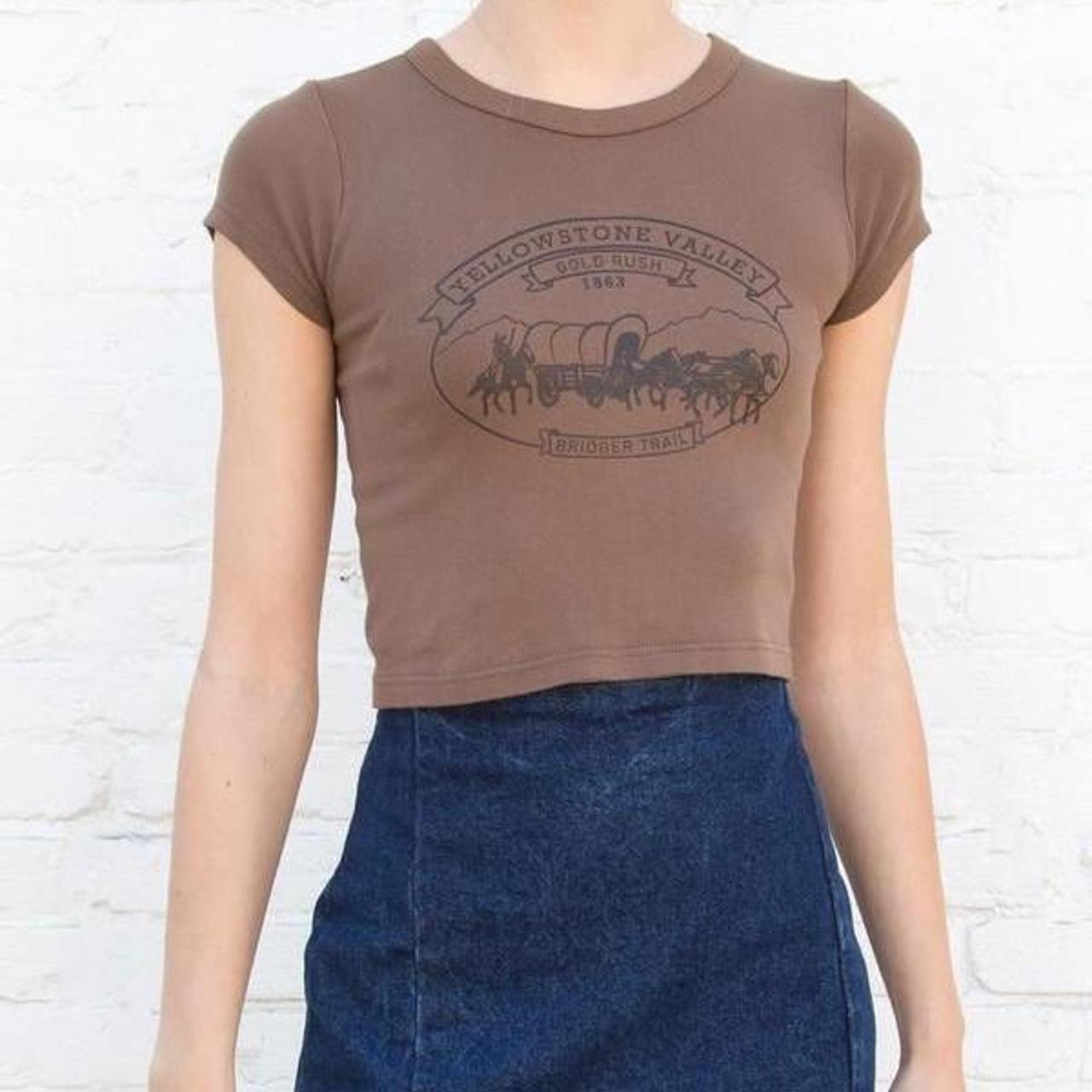 Brandy melville brown baby tee 00s 90s good basic... Depop