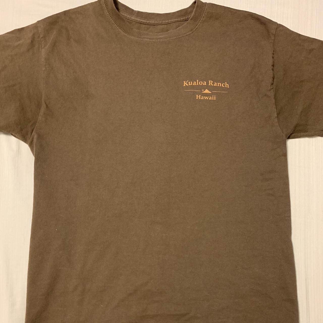 hanes brown shirt