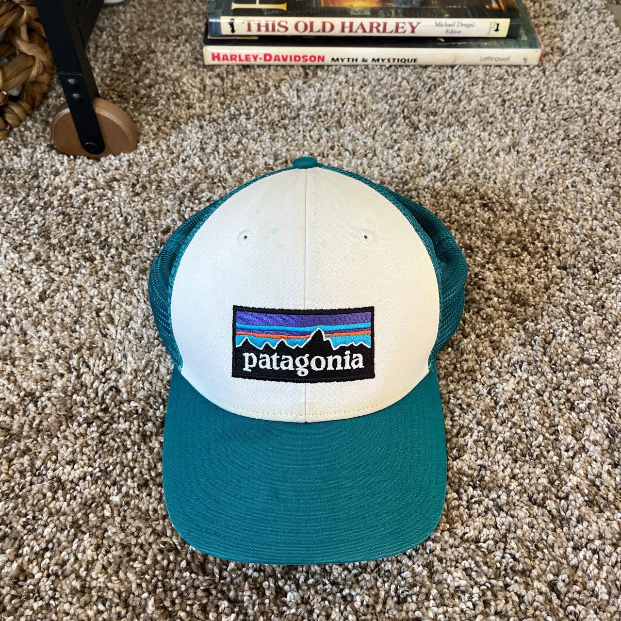 Teal and White Patagonia Hat, Snap Back, Has a few...