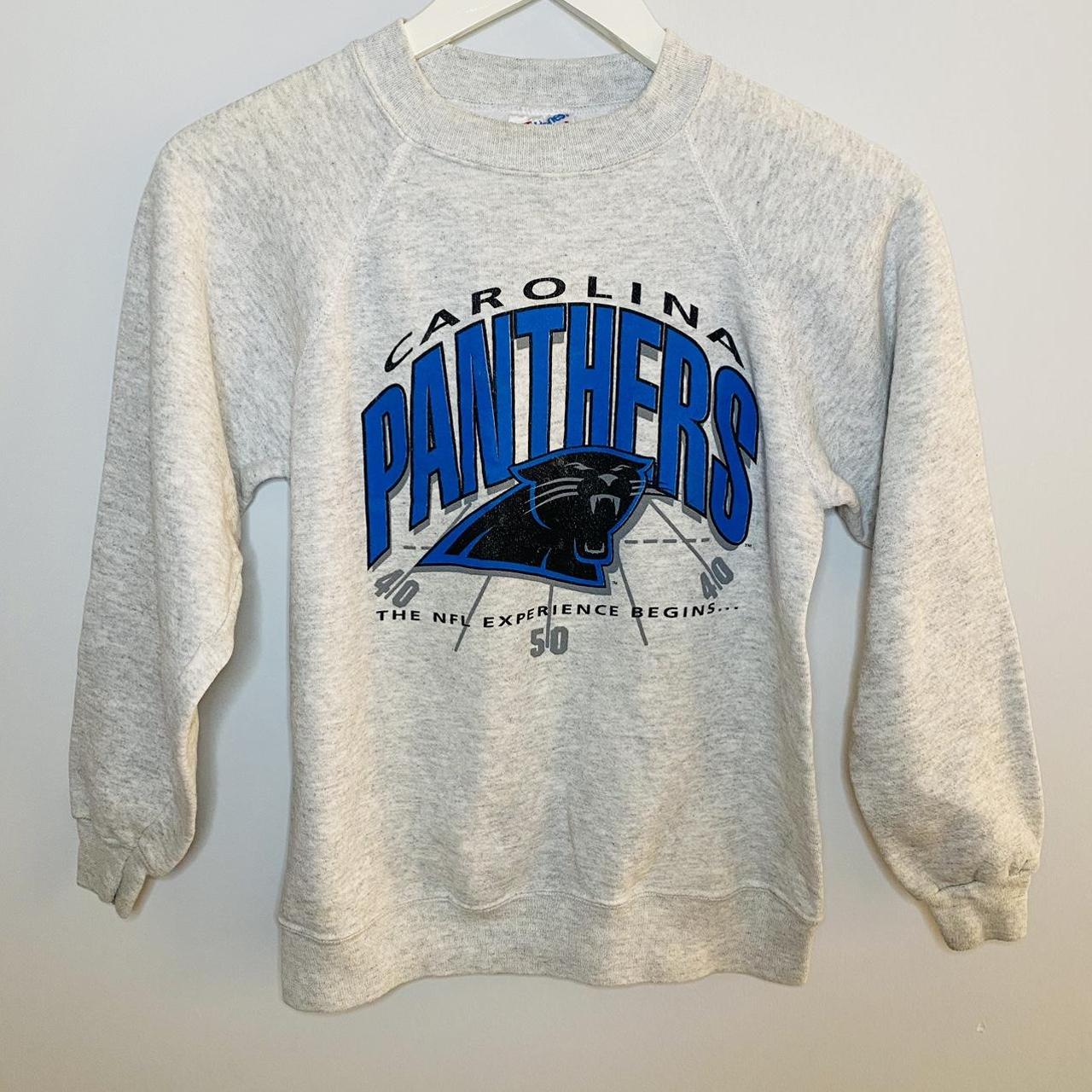 Vintage Carolina Panthers Crewneck Sweatshirt Sz L GUC Gray NFL Hanes  Activewear