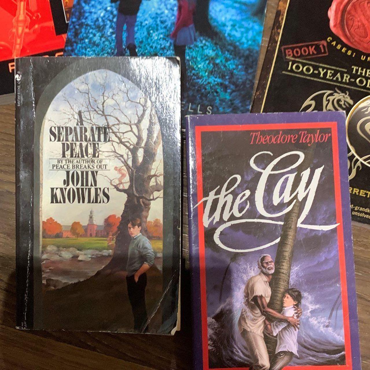 16 grade school books Children’s chapter books All... Depop