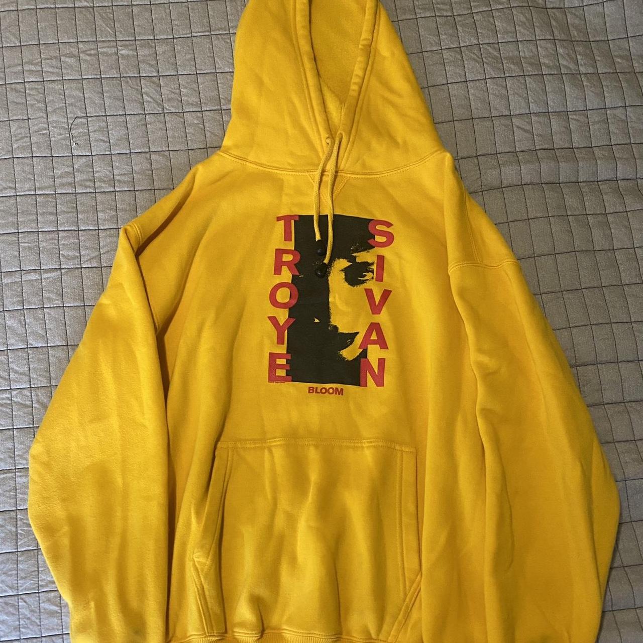 Troye sivan hoodie hotsell