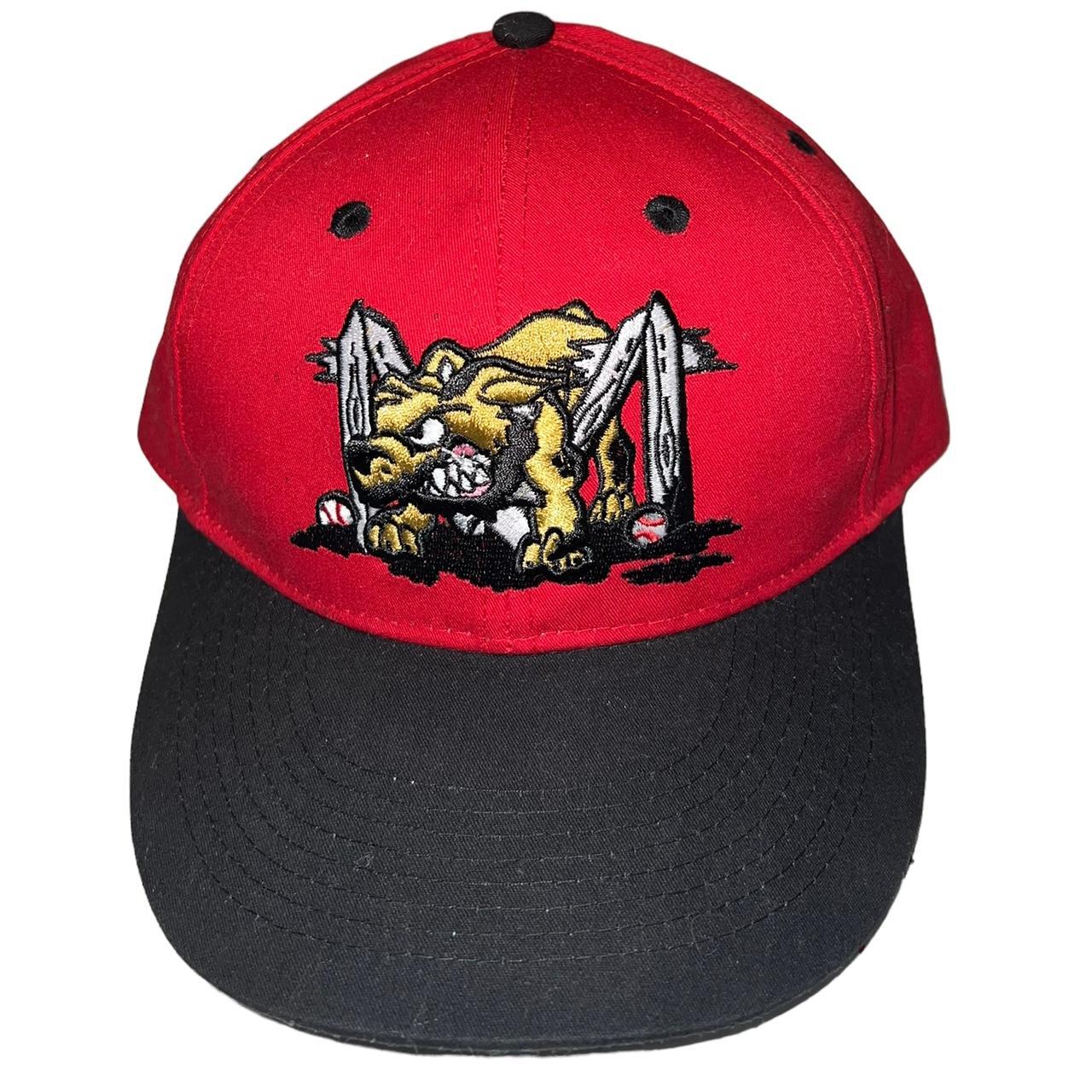 Minor league baseball hat Red and black with a - Depop