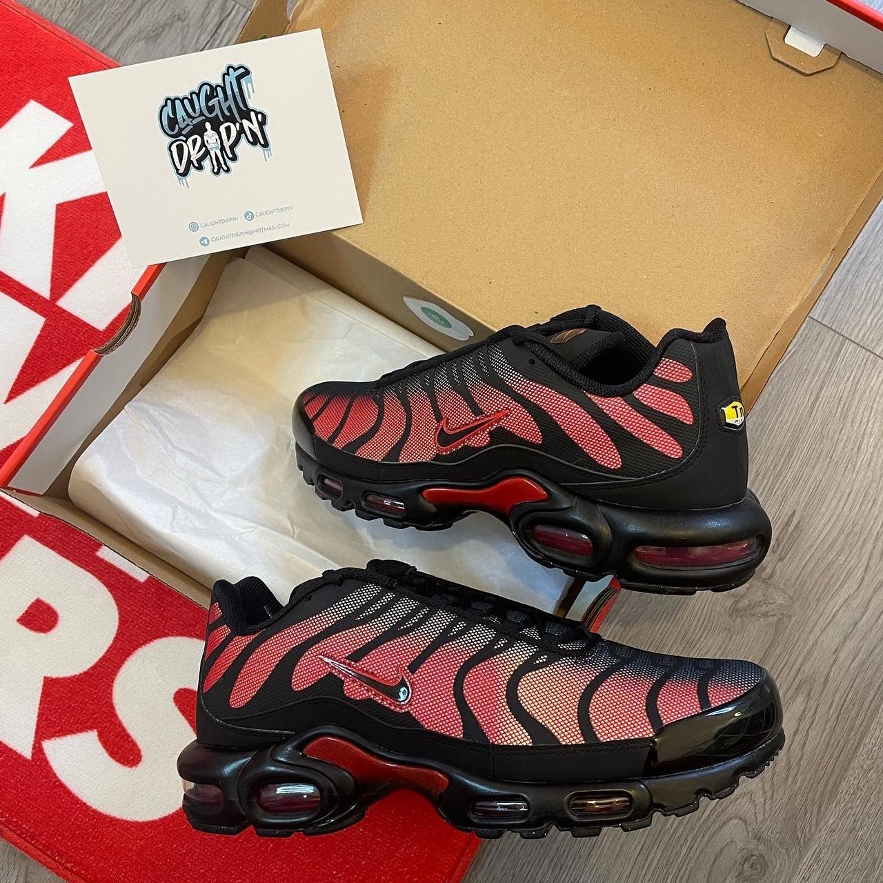 tn black black university red