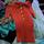item listed by prettypinkprincesstehe