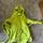 item listed by zoeylittlebit