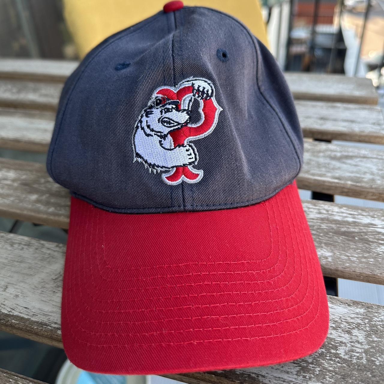 47 minor league baseball hot sale hats