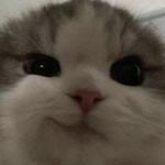conradd777's profile picture