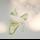 item listed by de___faella