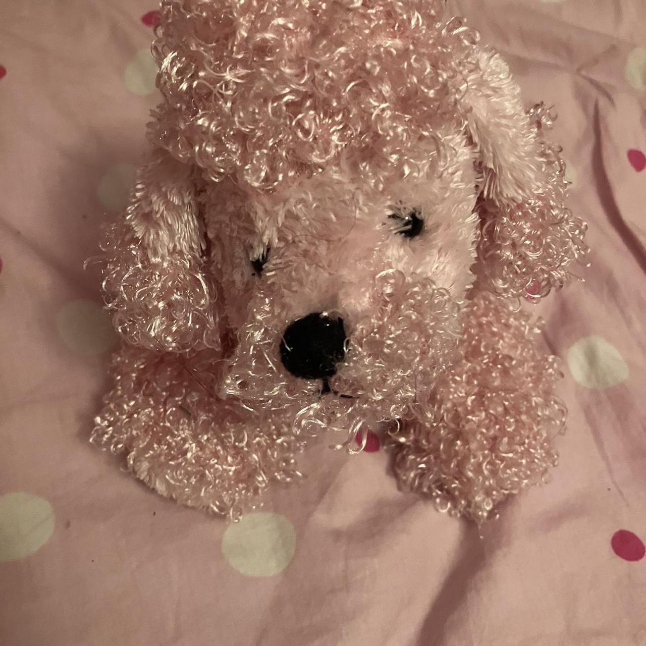 Webkinz pink outlet poodle