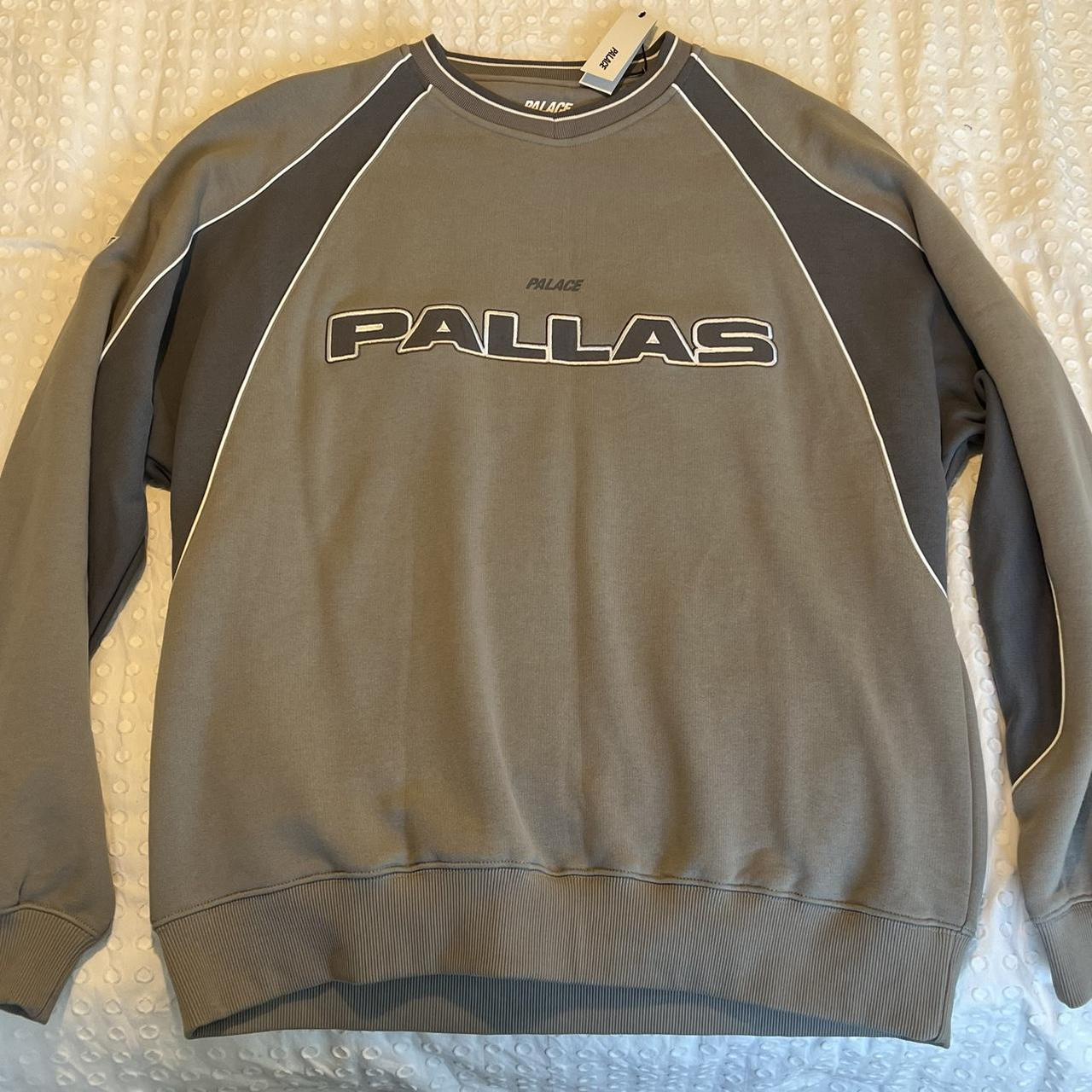 Palace 'Pallas' hood, size XL BNWT. Rare size and - Depop