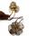 item listed by losangelesfinds13