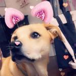 strqbervy's profile picture