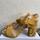 item listed by sulta88