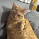 brokeyyyy's profile picture