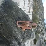 millssweens's profile picture