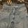 item listed by seekingvtg