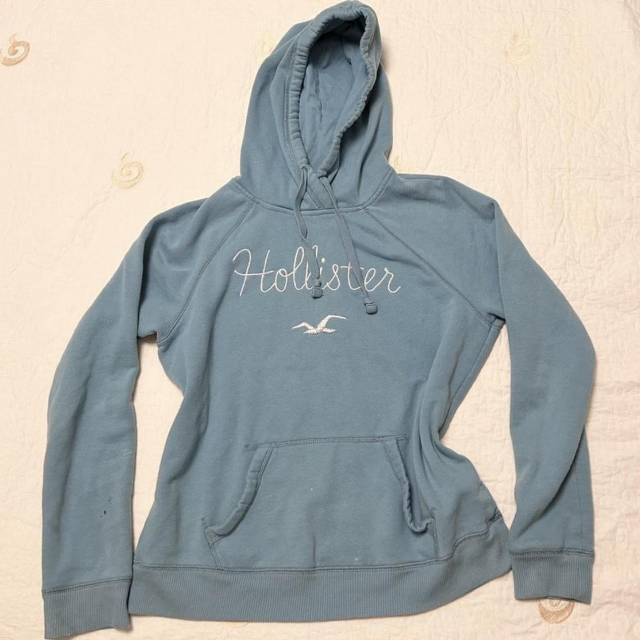 Hollister clearance embroidered hoodie