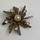 item listed by jenniferbcloset