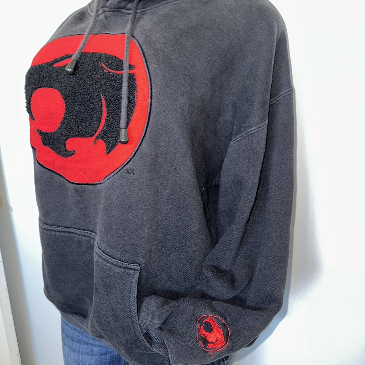 Thunder Cats Hoodie
 Vintage Thundercats hoo Thundercats Hoo Depop