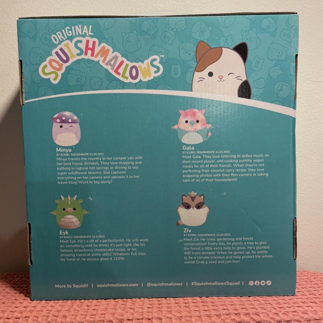 Squishmallows Assortment Box of 4 with carry handle... Depop