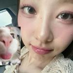 korilakkumi's profile picture