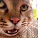 puyjoiy2's profile picture
