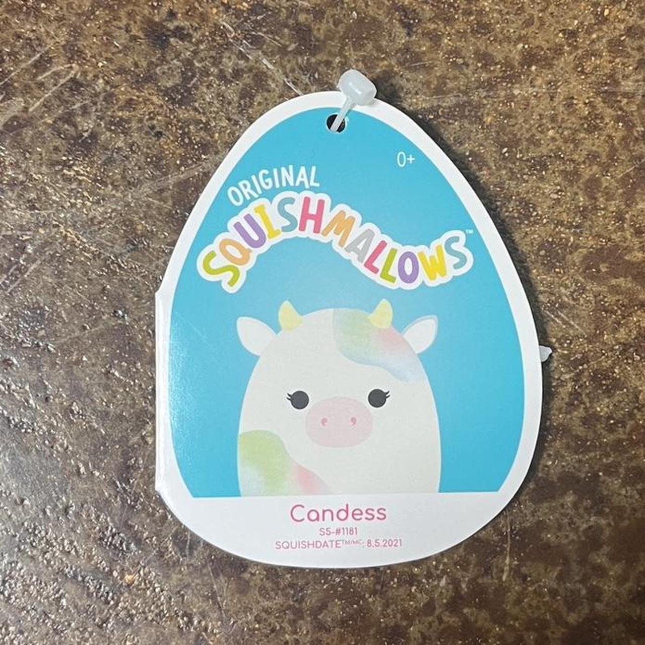 Newest candess squishmallow 5