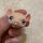 item listed by jazlynn77
