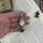 item listed by affinityforjewelry