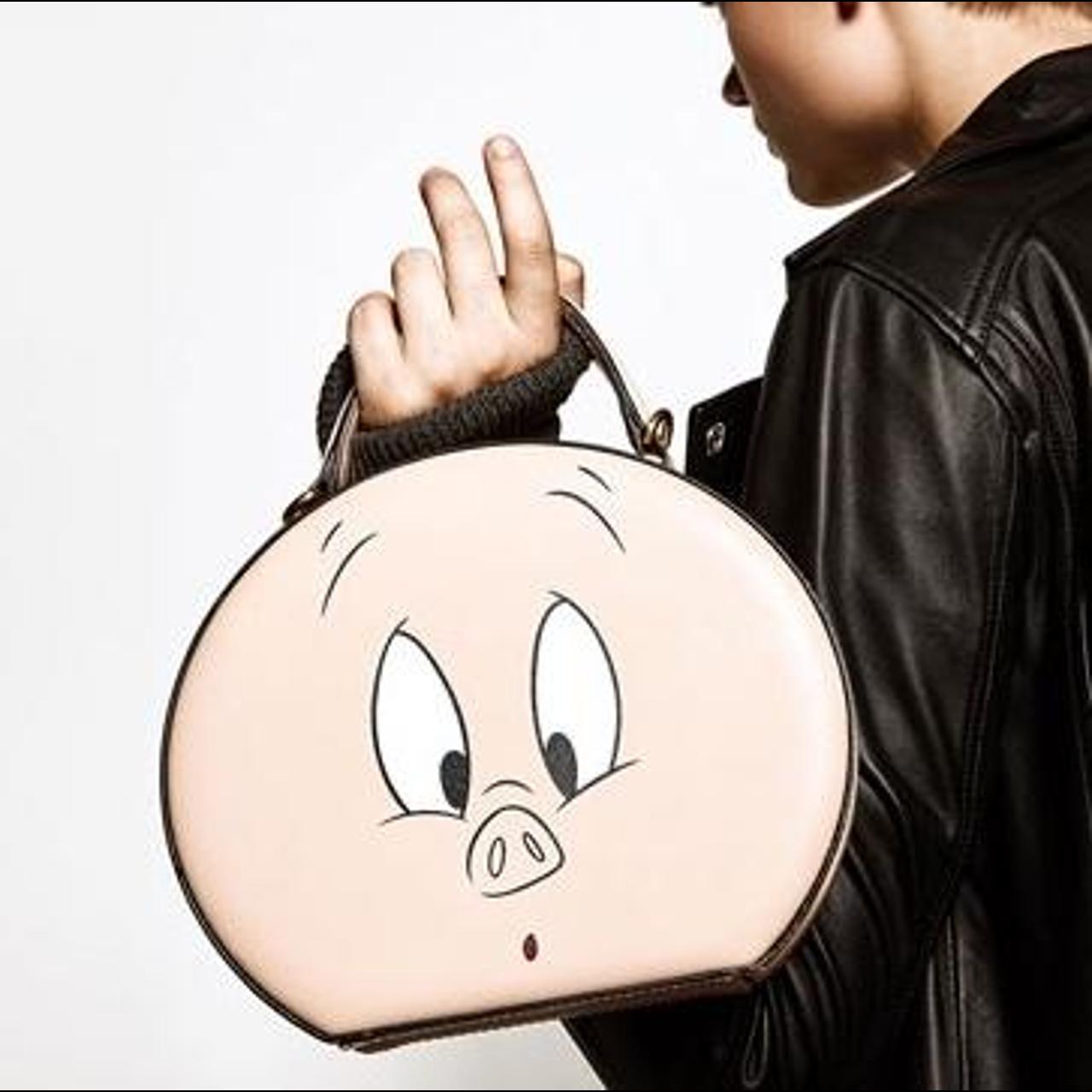 💫ZARA💫 RARE LOONEY TUNES Porky Pig Crossbody /... Depop