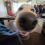 aarora21's profile picture