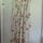 item listed by kinsey_speer