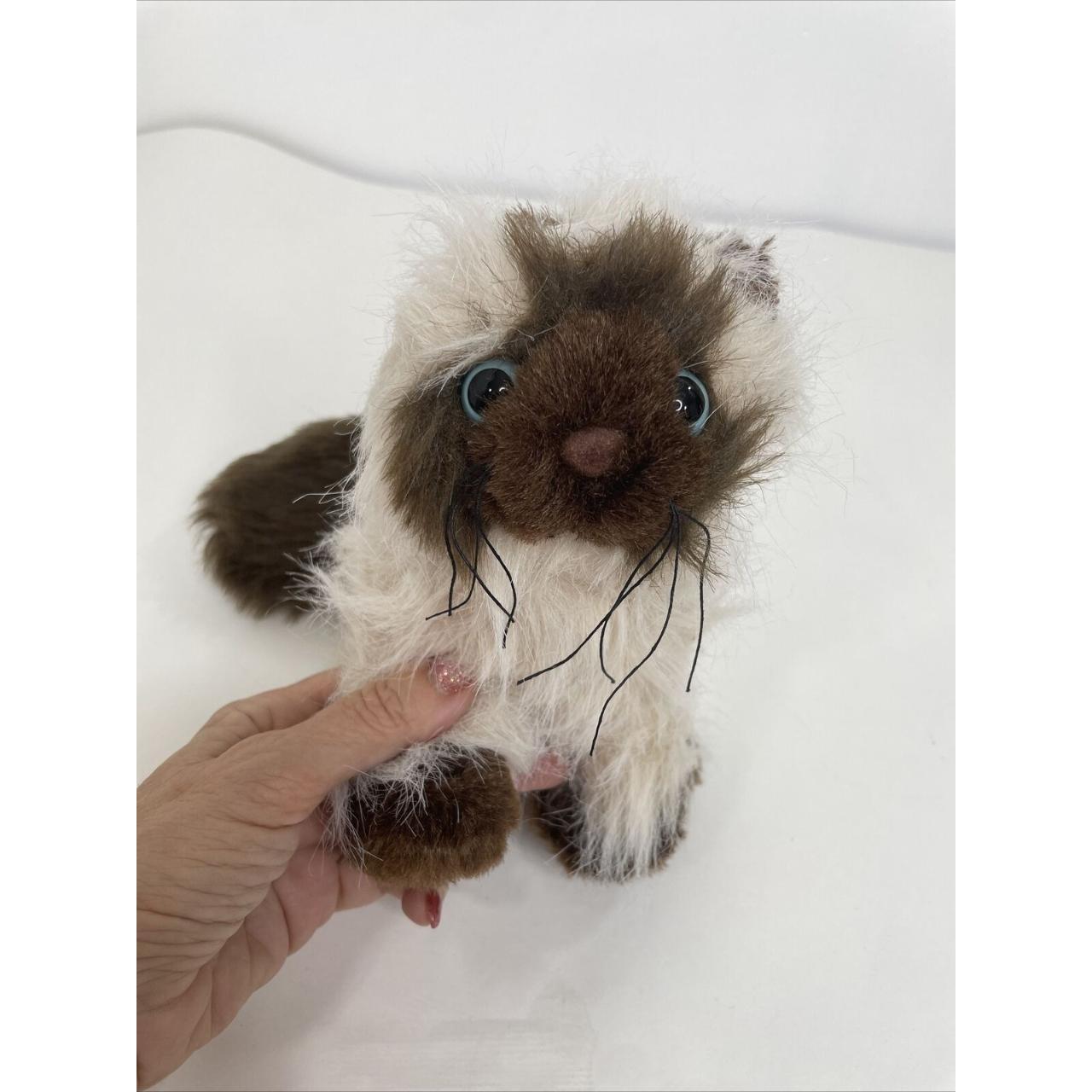 webkinz himalayan cat