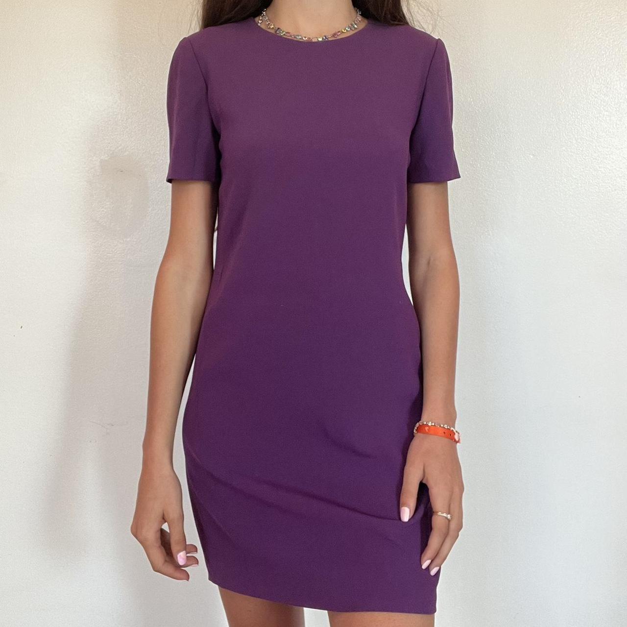 ARITZIA purple mini dress 00