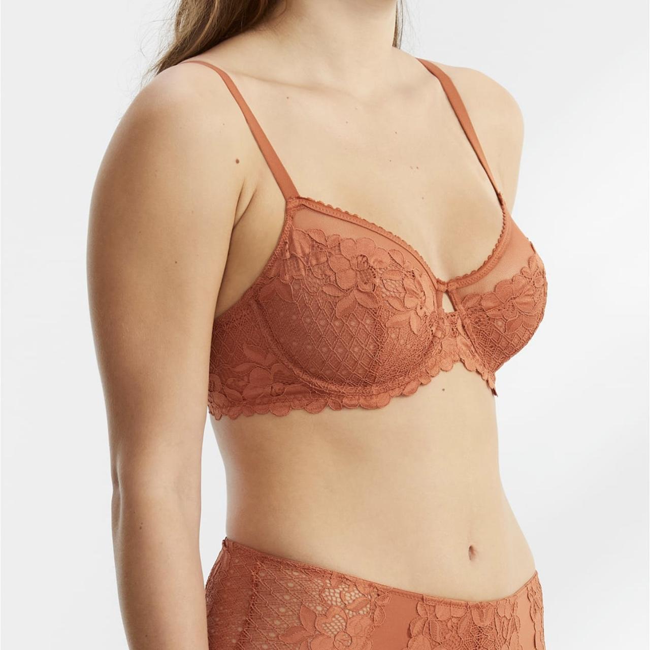 Brown Lace Bras  Bare Necessities