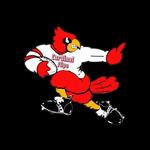 cardinalflips's profile picture
