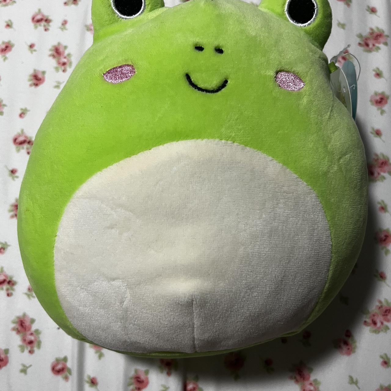 wendy frog squishmallow with tags ! - Depop