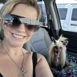 dashacresteds's profile picture