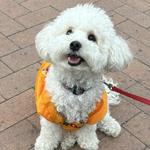 julies_closet11's profile picture