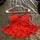item listed by jasminesdallascloset