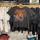 item listed by markoffsclosetllc