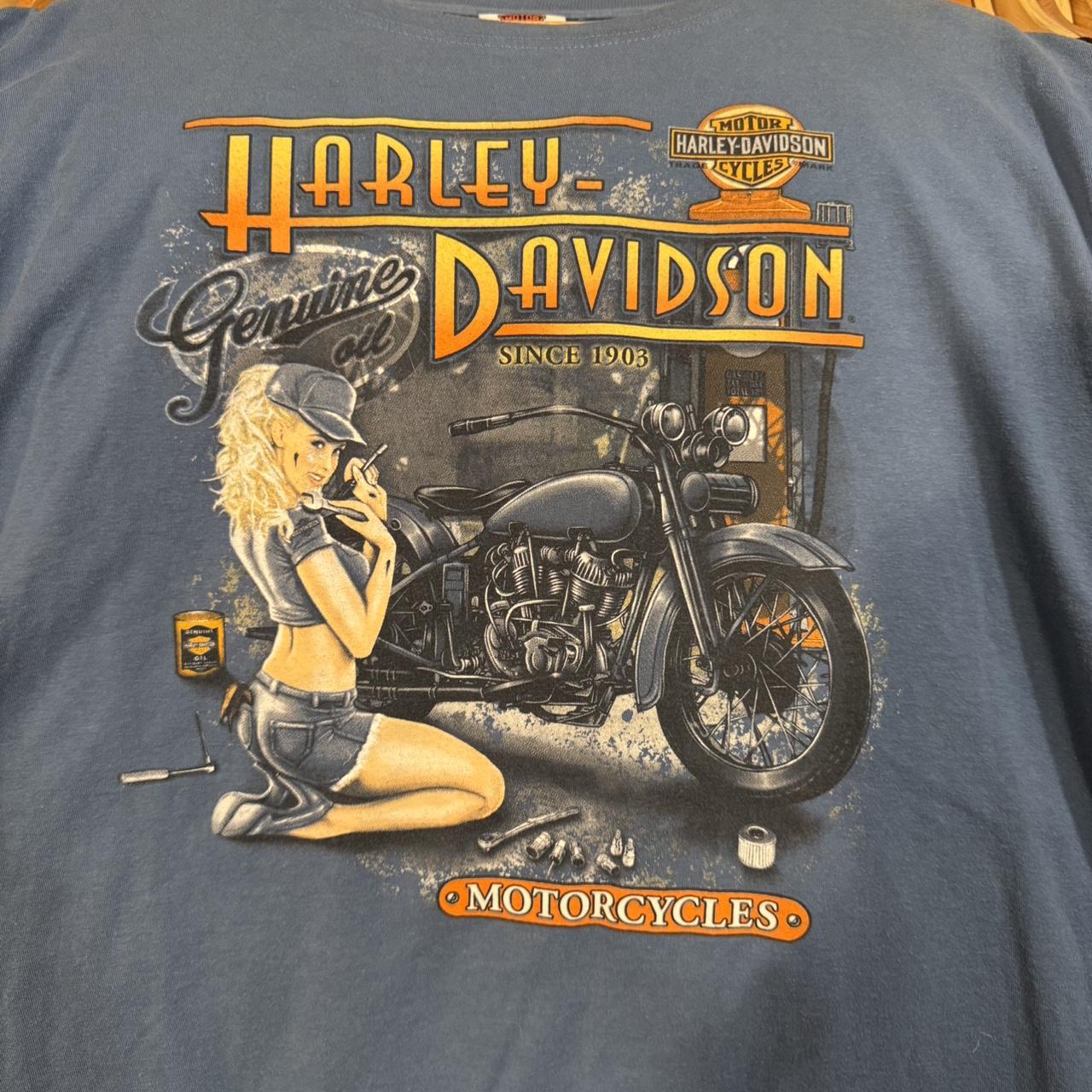 Vintage 1994 Harley Davidson “Against the Wind” | Depop