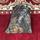 item listed by holygrailvintage