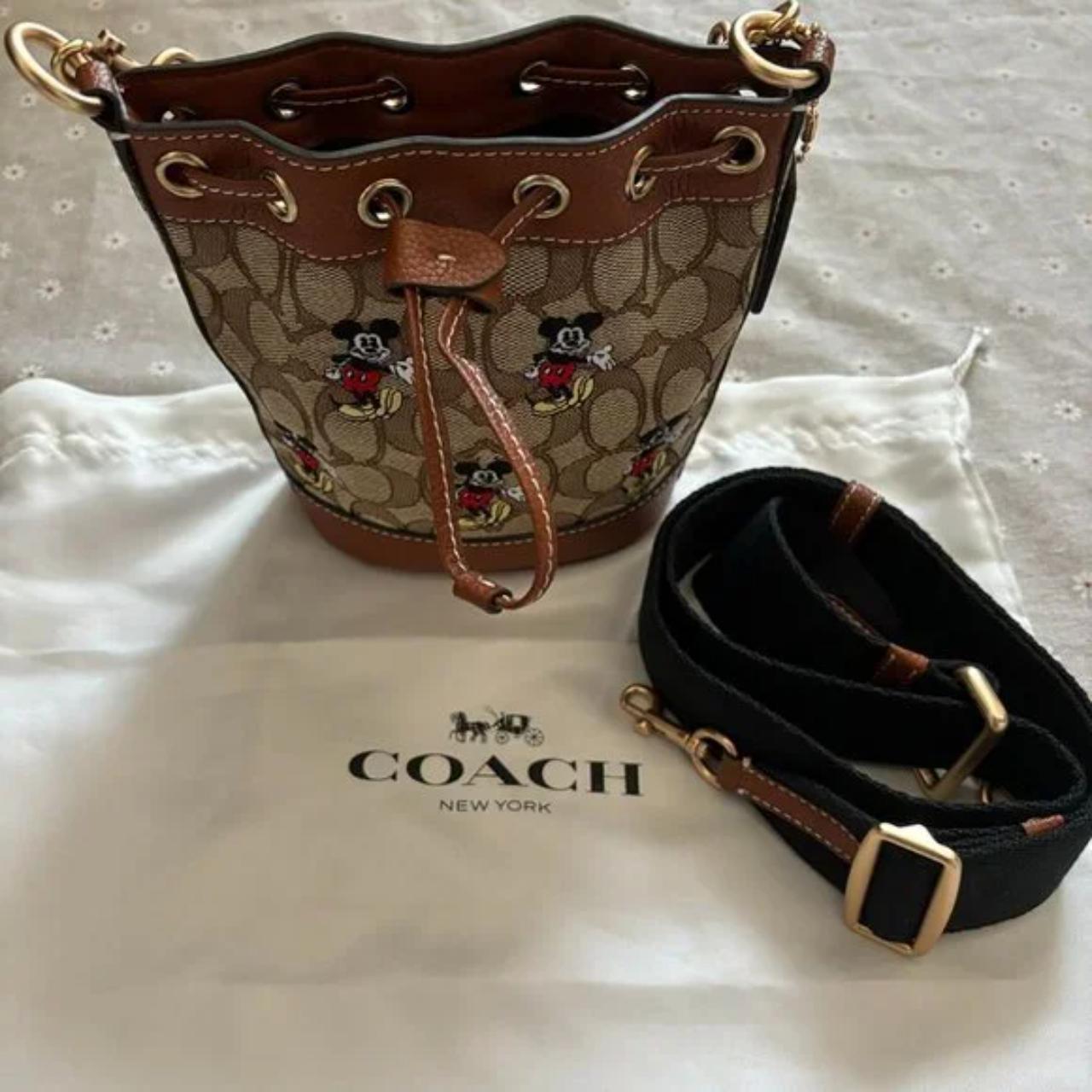 Discover the Magic of the Coach Disney Bucket Bag