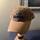 item listed by bry60n_