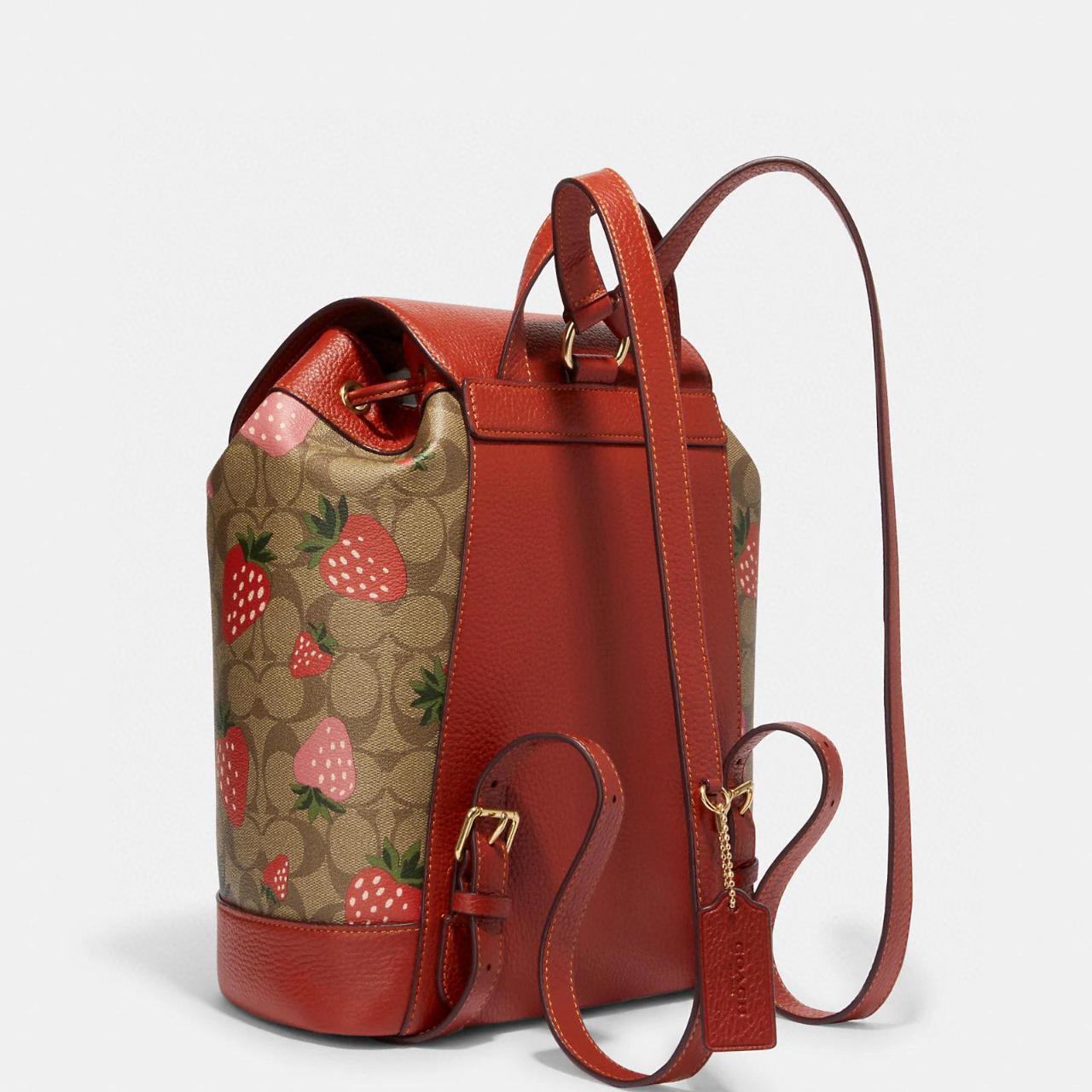 Coach discount evie backpack